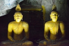 2-12 novembre 2018  -  Sri Lanka