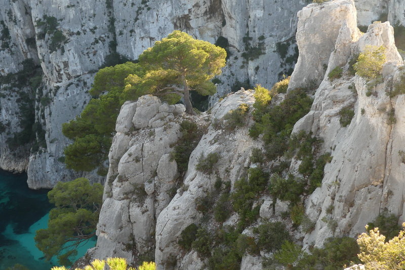 Trek sulle Calanques - 27 dic. 2019 â€“ 3 gen. 2020