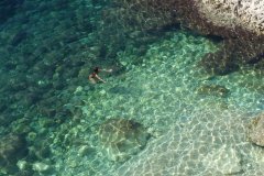 Trek sulle Calanques - 27 dic. 2019 â€“ 3 gen. 2020