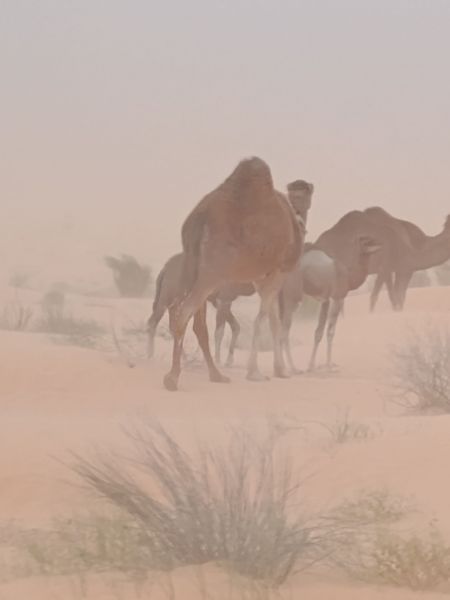 tunisia-11
