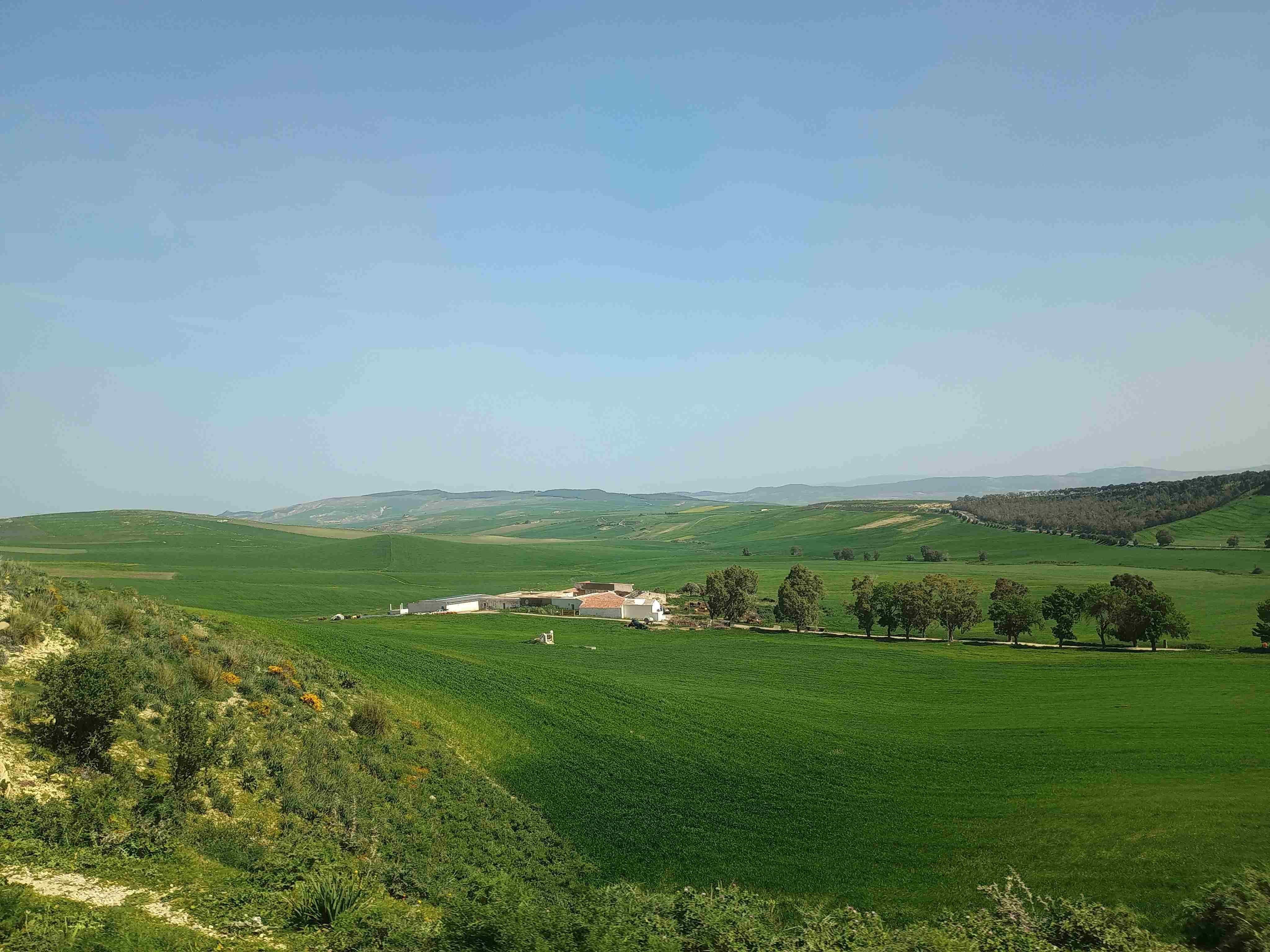 tunisia-2