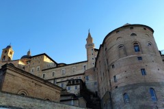 6-8 dicembre 2021 - Urbino