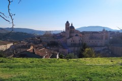6-8 dicembre 2021 - Urbino