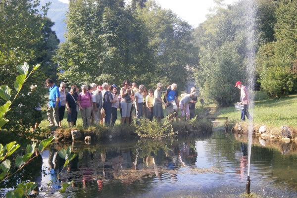 0013_SV6_valbestate_2012