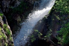 foto-3