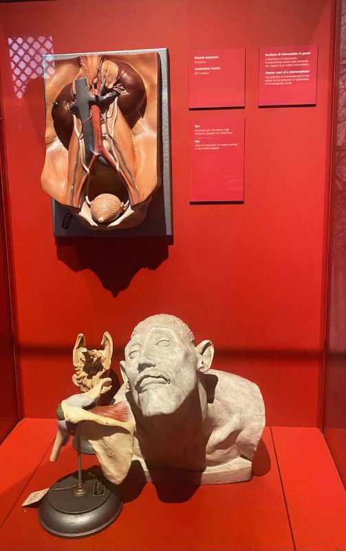 Venezia-2025-Museo