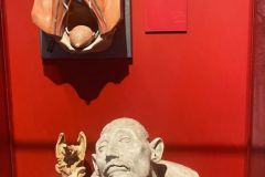 Venezia-2025-Museo