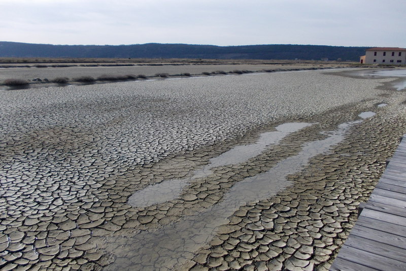 10 marzo 2019-Le saline di Sicciole e Capodistria