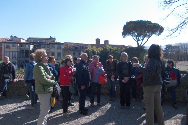 30-31 marzo 2019 - Le camelie della Lucchesia