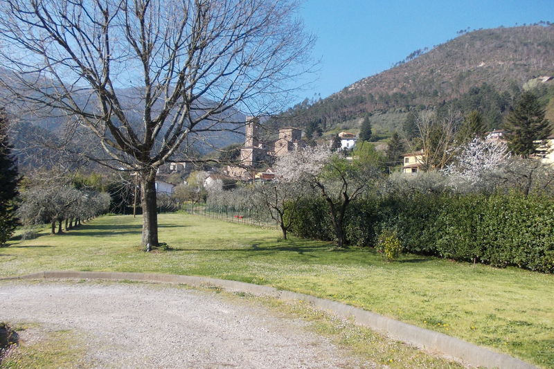 30-31 marzo 2019 - Le camelie della Lucchesia