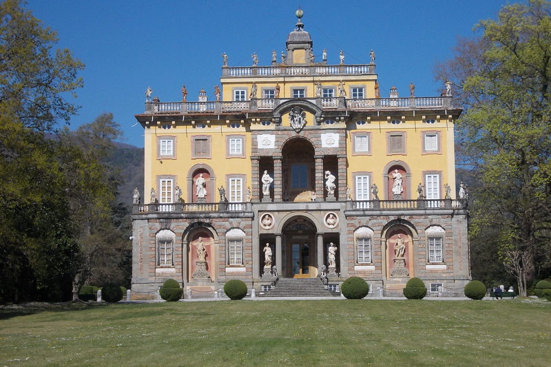 30-31 marzo 2019 - Le camelie della Lucchesia