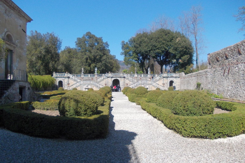30-31 marzo 2019 - Le camelie della Lucchesia