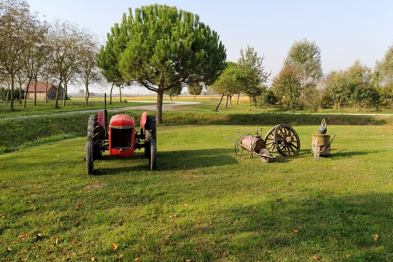 27 ottobre 2019 - Caorle - le risaie e il pranzo di pesce