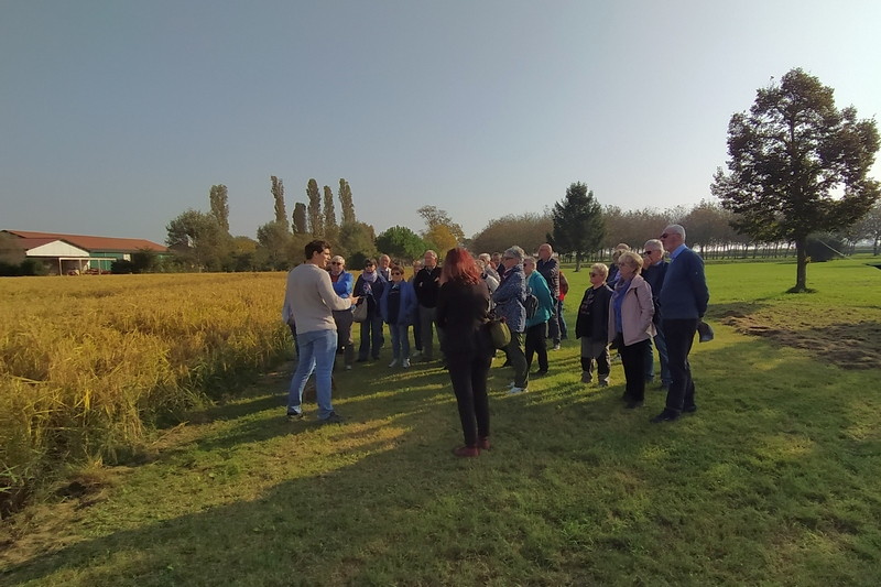 27 ottobre 2019 - Caorle - le risaie e il pranzo di pesce