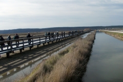 10 marzo 2019-Le saline di Sicciole e Capodistria