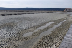 10 marzo 2019-Le saline di Sicciole e Capodistria