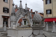 10 marzo 2019-Le saline di Sicciole e Capodistria