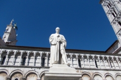 30-31 marzo 2019 - Le camelie della Lucchesia