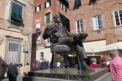 30-31 marzo 2019 - Le camelie della Lucchesia