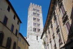 30-31 marzo 2019 - Le camelie della Lucchesia