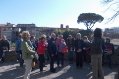 30-31 marzo 2019 - Le camelie della Lucchesia