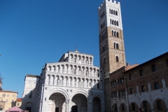 30-31 marzo 2019 - Le camelie della Lucchesia