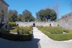 30-31 marzo 2019 - Le camelie della Lucchesia