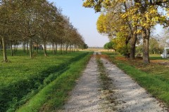 27 ottobre 2019 - Caorle - le risaie e il pranzo di pesce