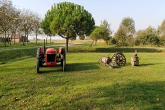 27 ottobre 2019 - Caorle - le risaie e il pranzo di pesce