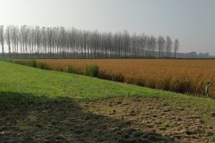 27 ottobre 2019 - Caorle - le risaie e il pranzo di pesce