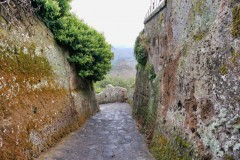 23-25 settembre 2022 - Viterbo, nel cuore della Tuscia